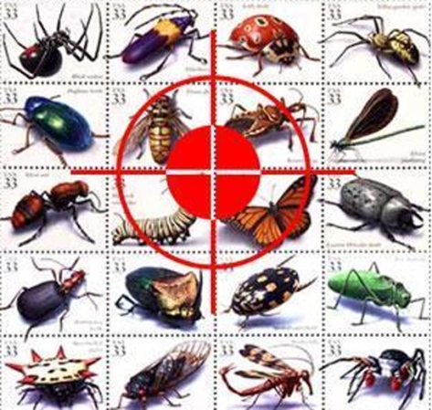 Thuốc diệt côn trùng của Anh là loại nào?