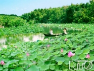 Khu rừng tràm gió Long An - BOOKING TOUR